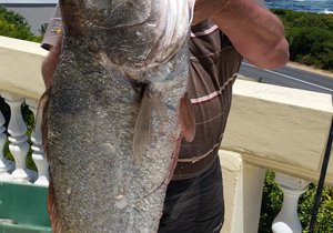 19kg Kabeljou vanaf Topless